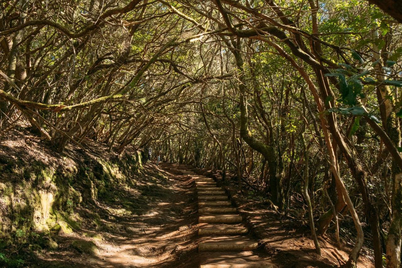 דירות באיאמר Oasis Brisa Marina מראה חיצוני תמונה
